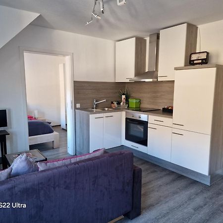 Ferienwohnung Vier Pfoten ヴィリンゲン エクステリア 写真