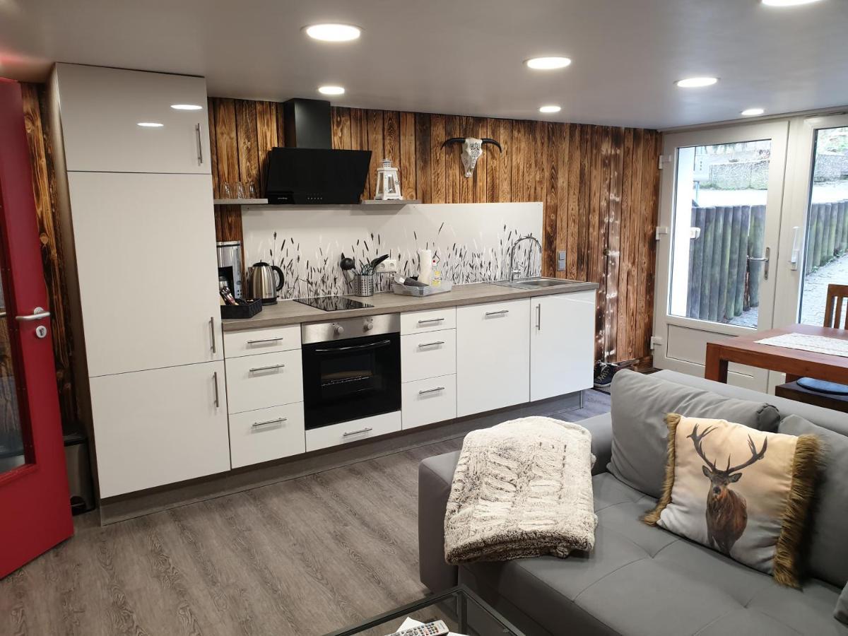 Ferienwohnung Vier Pfoten ヴィリンゲン エクステリア 写真