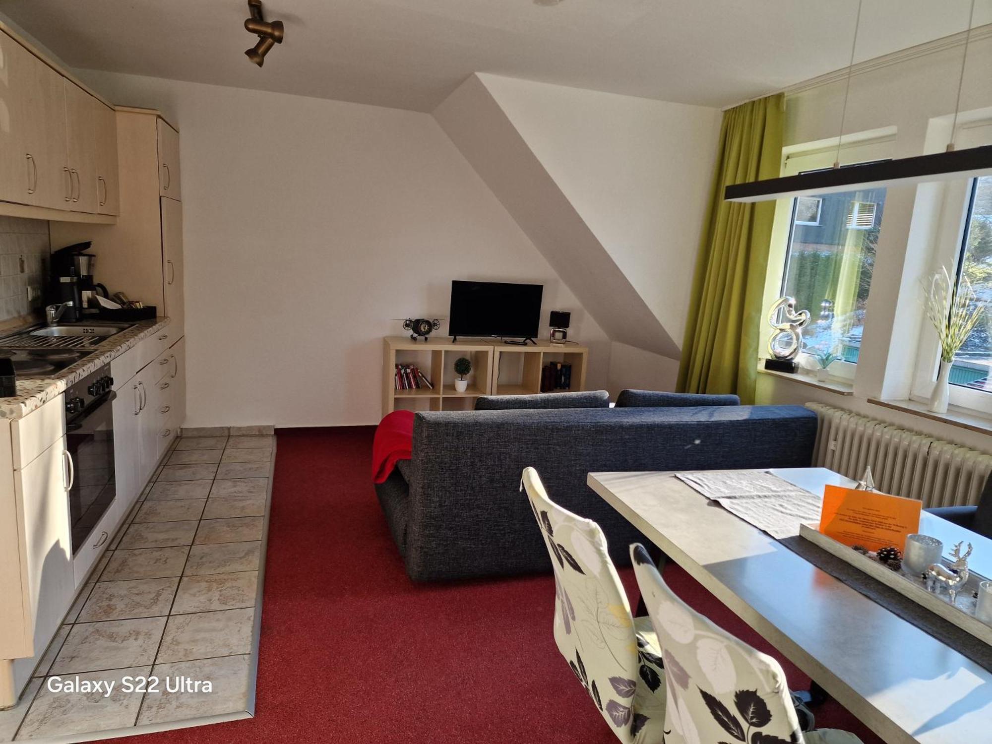 Ferienwohnung Vier Pfoten ヴィリンゲン エクステリア 写真