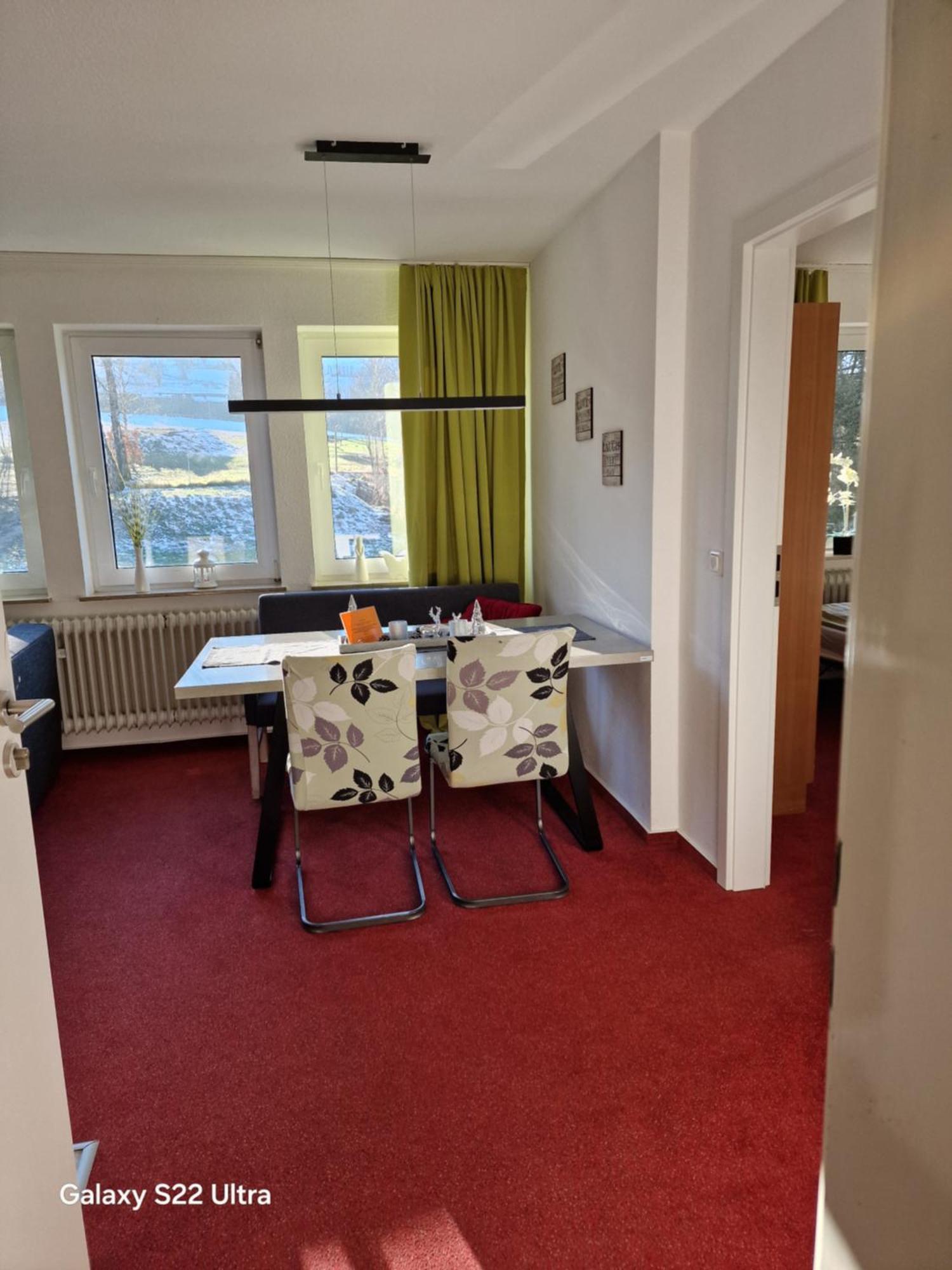 Ferienwohnung Vier Pfoten ヴィリンゲン エクステリア 写真